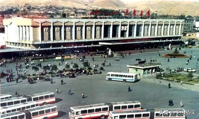 上榜啦！*疆新**鸟市和石市即将被国家命名！未来发展不可估量