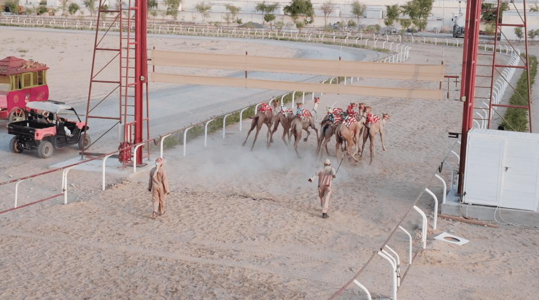 迪拜阿布扎比是哪个国家,阿布扎比和迪拜谁更值得去