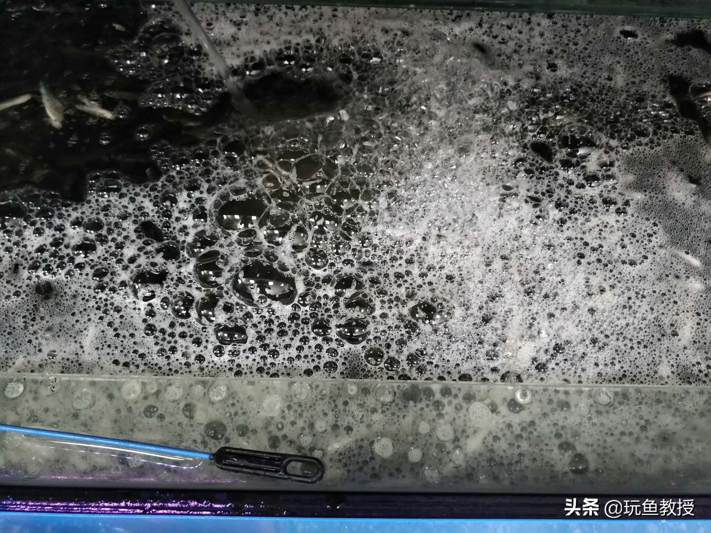 鱼缸上滤水流出来很多细小气泡,鱼缸里面有气泡怎么解决