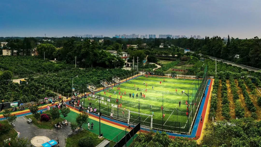 鏍戝眿鐏攨,鏍戝眿鍚冪悆