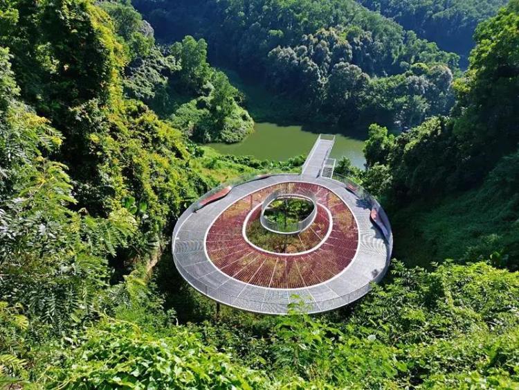 不离深,深圳高颜值绿道推荐一日游正好