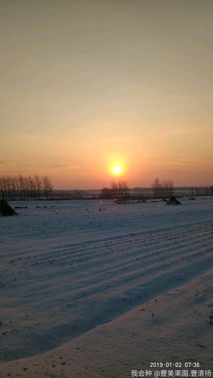 诗和远方在身边完整版,诗和远方在身边