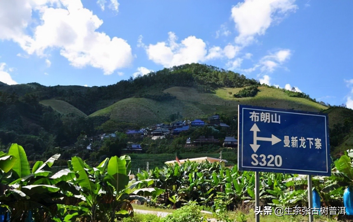 普洱布朗山图片大全,普洱茶各大山头的口感区别