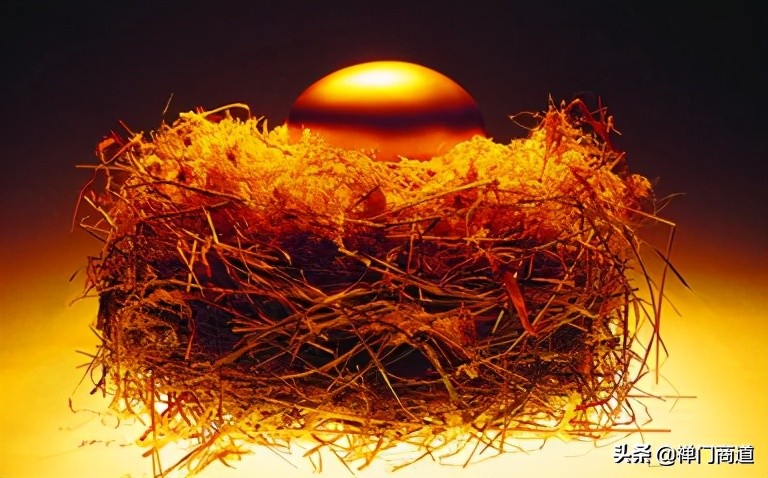 鬼谷钱经强者的六大狼性生存智慧,鬼谷钱经神奇的商业思维脑洞