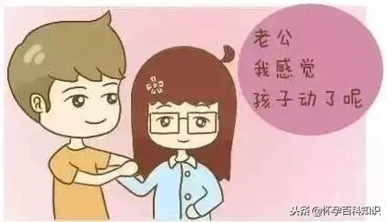 孕妈妈如何正确数胎动,教你怎么数胎动