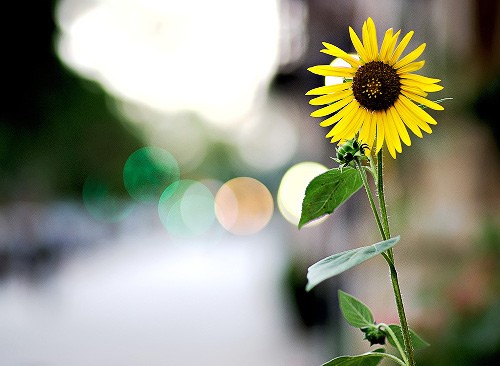 精神的匮乏才是真正的匮乏,寒门出来的人为什么要努力