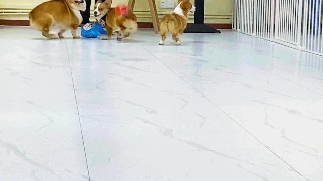 专门摸屁股的店，任摸