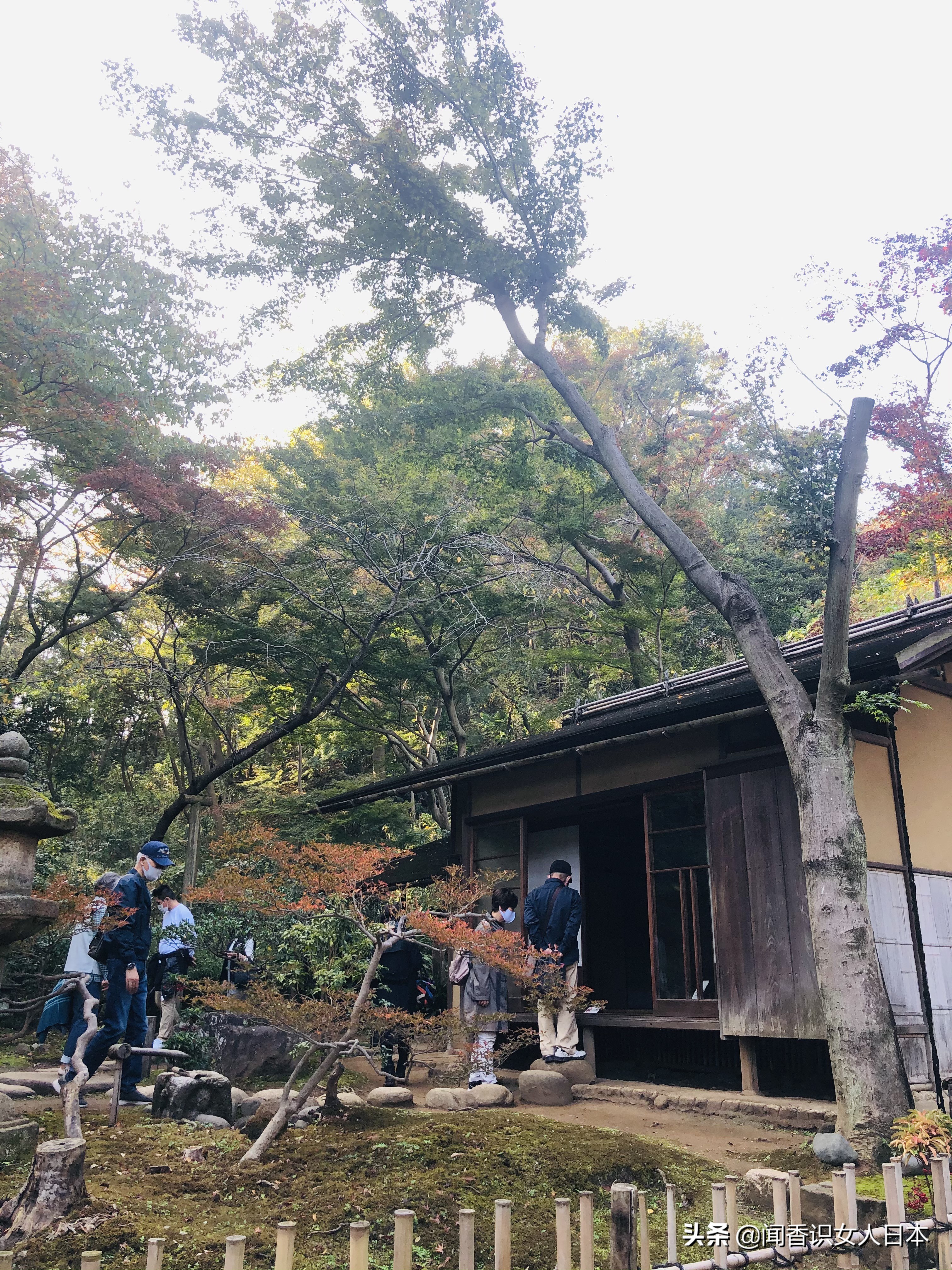 横滨三溪园,横滨三溪园介绍