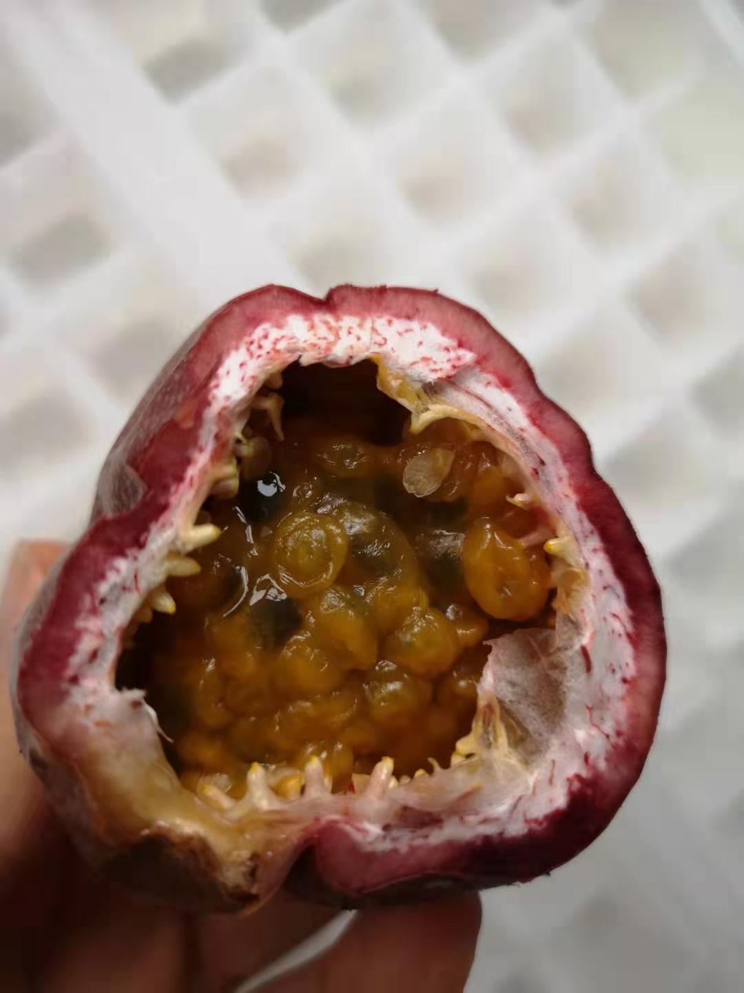 百香果可以挖出来储存吗,百香果冷冻储存后效果会怎样