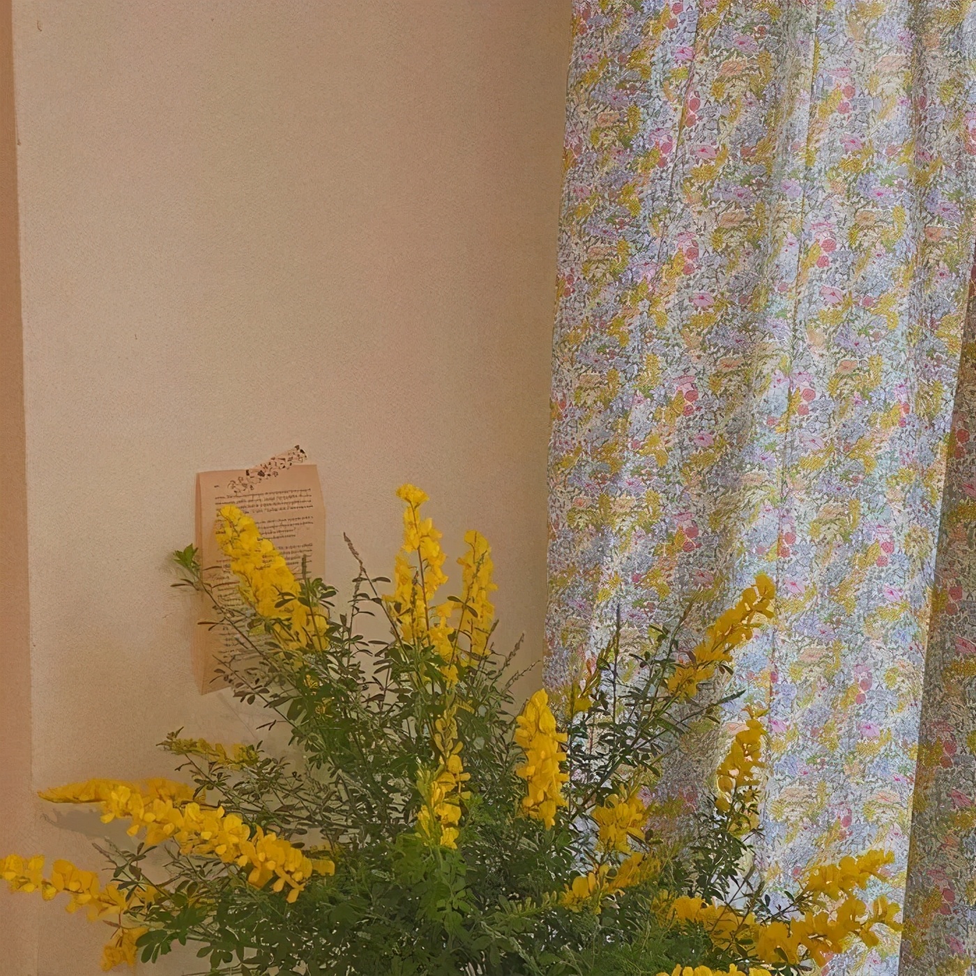 日常vlog用什么app剪视频,适合剪vlog的app