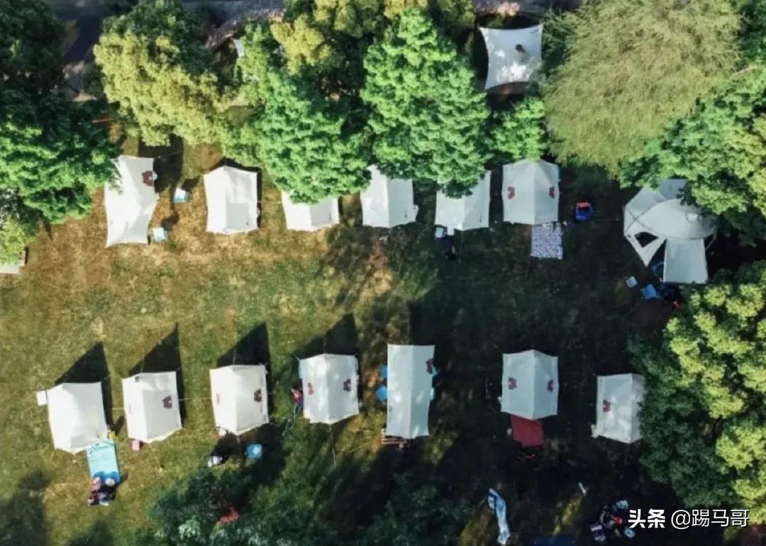 上海附近有哪些露营地可以看星星,上海周边免费露营地推荐人多