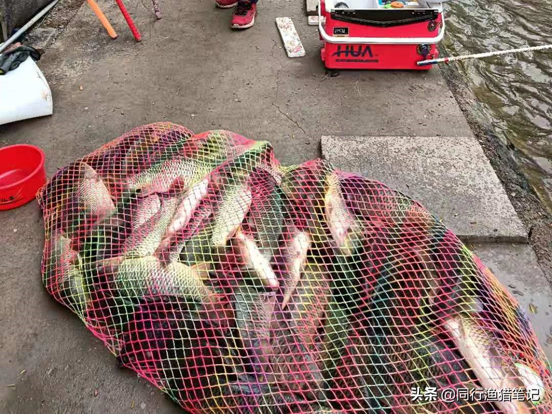 黑坑私人订制票价,私人定制黑坑收费规则