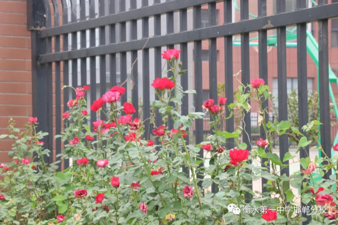 衡水一中邯郸分校永华中学咋样,衡水一中邯郸分校永华中学
