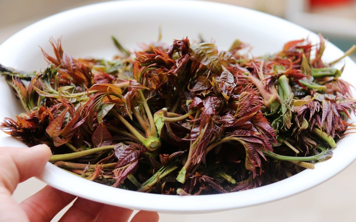 怎么保存香椿芽菜放得更长久,香椿芽咸菜怎样长时间保存