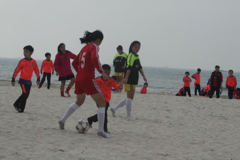 河南研学旅行拓展活动,广西北海研学活动方案