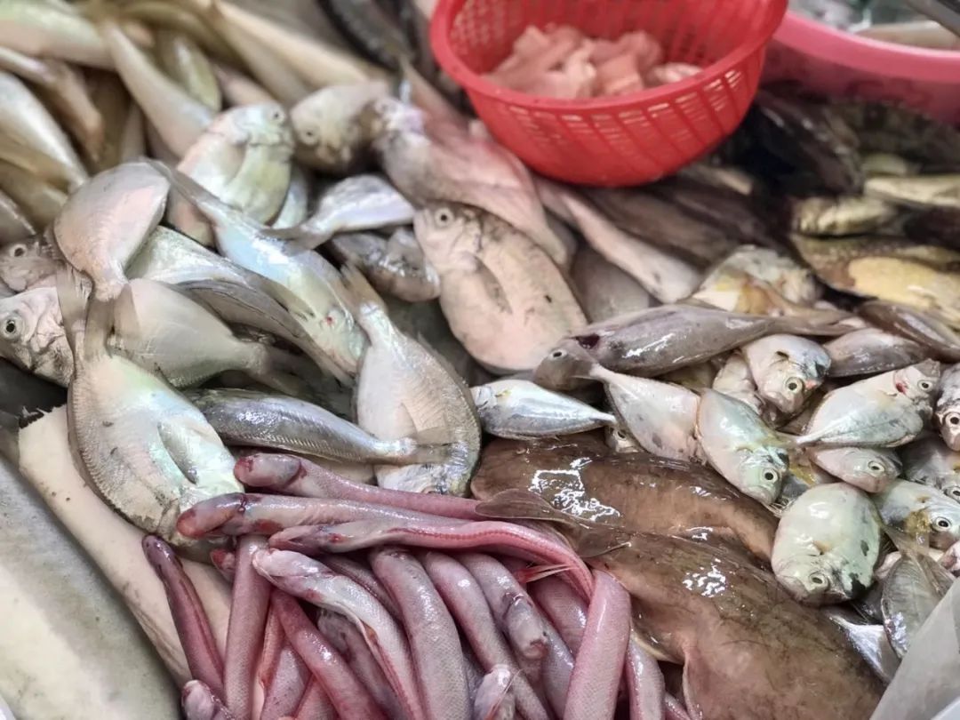 南澳岛小众隐藏景点,南澳岛2天1夜自驾游地图