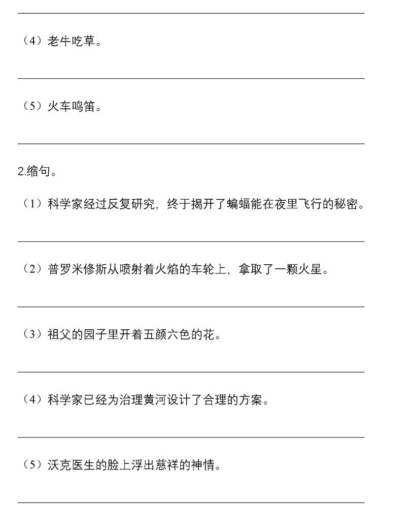 小学语文句子专项训练解析及答案,小学语文期末专项复习词语