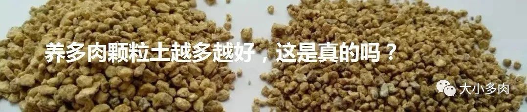 多肉变废为宝方法,废物利用养多肉