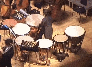 乐器难度等级排行,乐器学习难度排名顺序