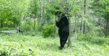 街头健身有些人不懂健身就瞎练,农村大爷习武健身一身肌肉