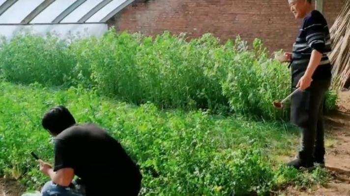 赵本山60岁大叔,63岁赵本山近照沧桑视频