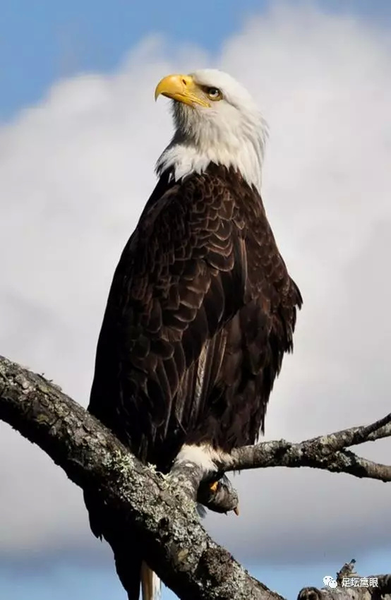 12月4日赛程,12月9日赛事