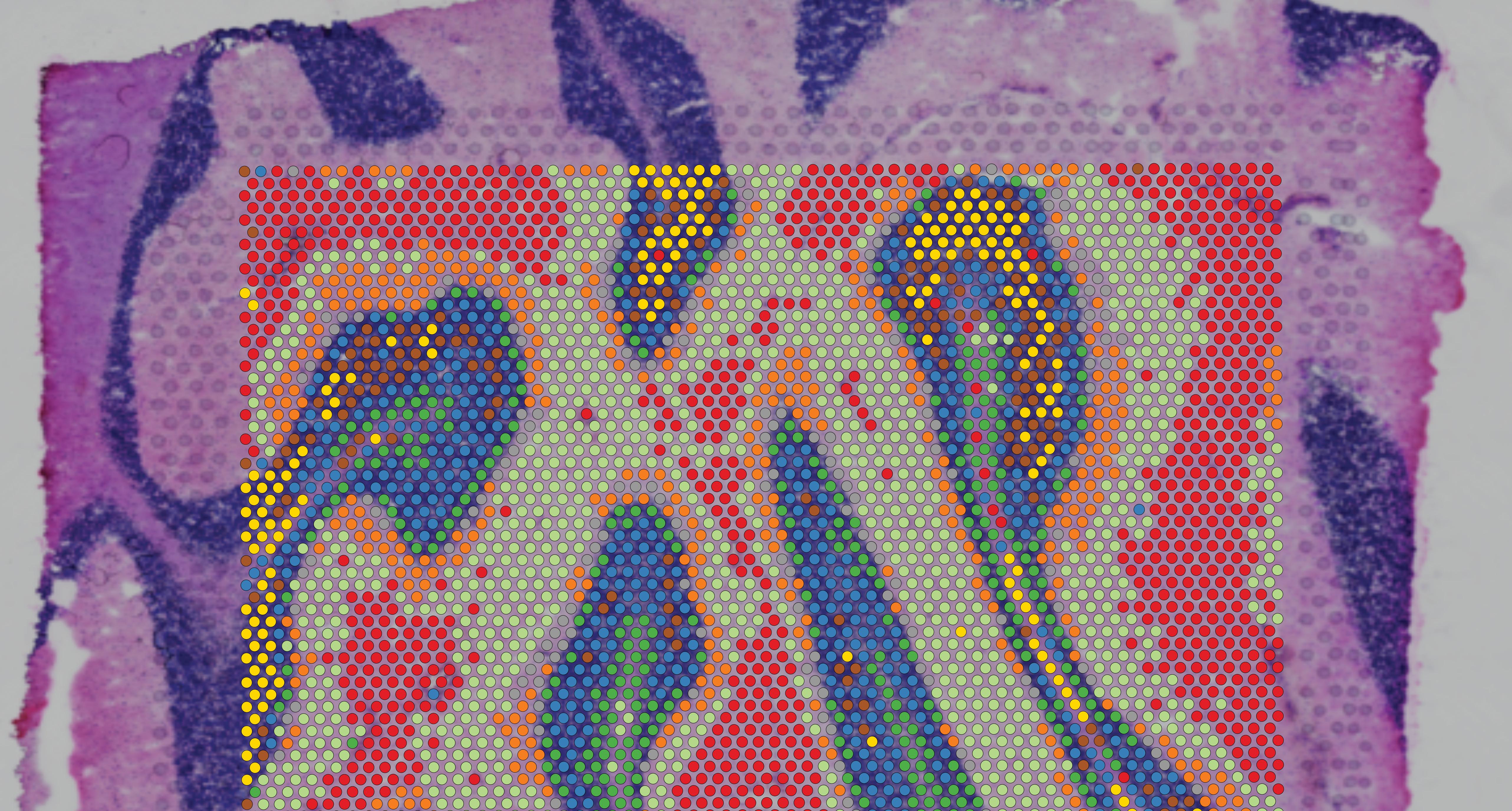 外媒评选2018最佳科技产品,2021年最具科技创新的8大产品