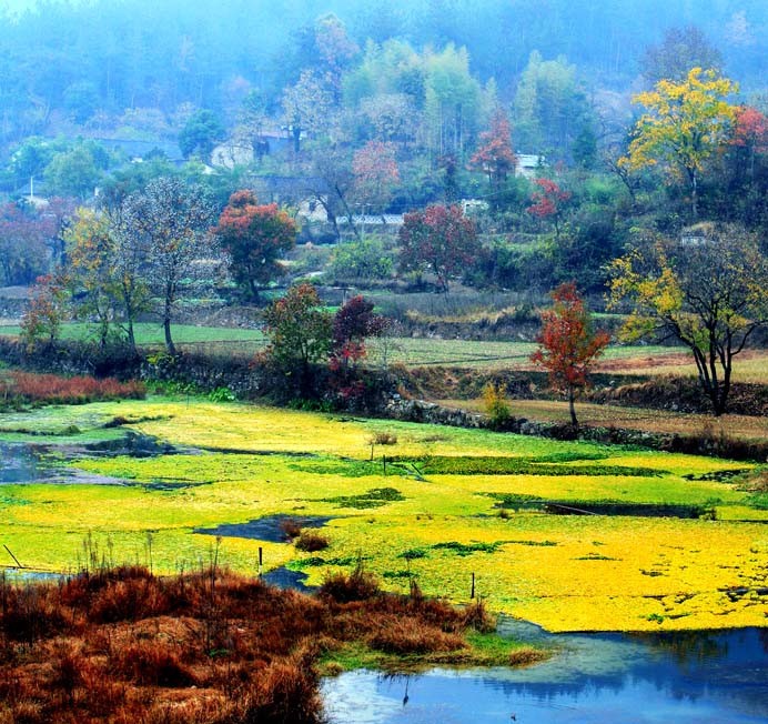 魂牵梦绕的地方是家乡完整版,魂牵梦绕的地方