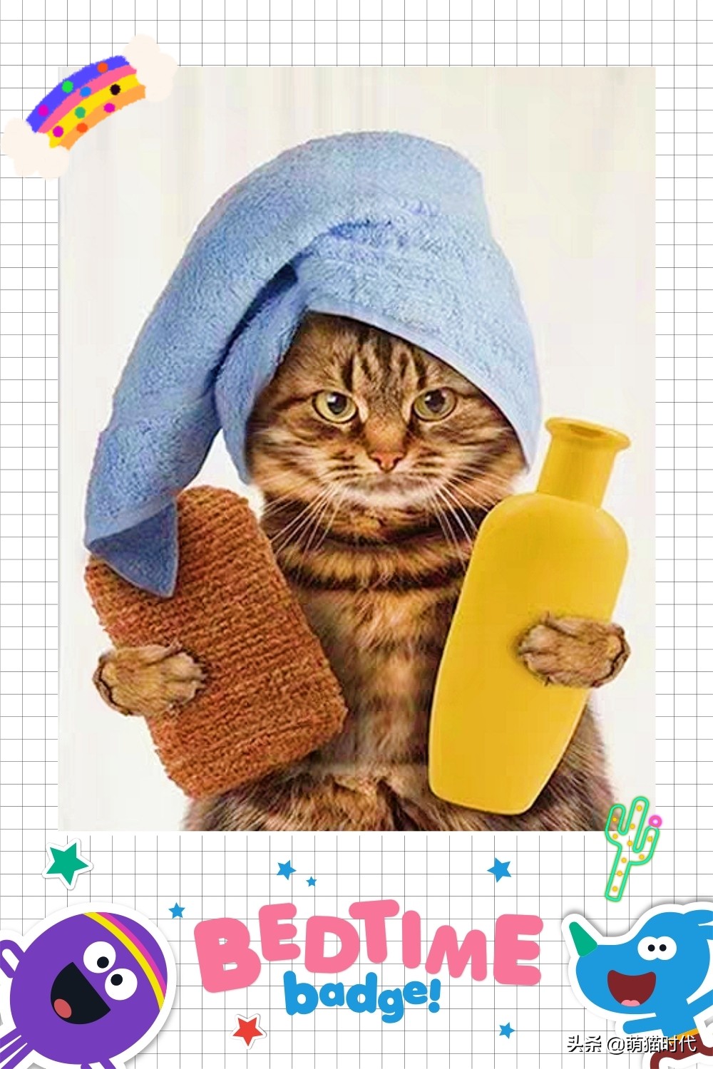 要回老家猫带不了怎么办,新猫回家和老猫相处的注意事项