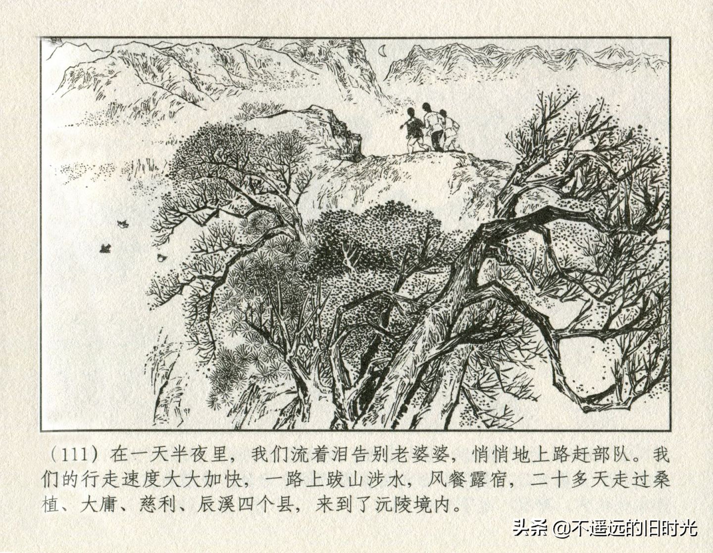 朝阳花-上海人民美术出版社1981初版2016再版陆成法陆小弟绘