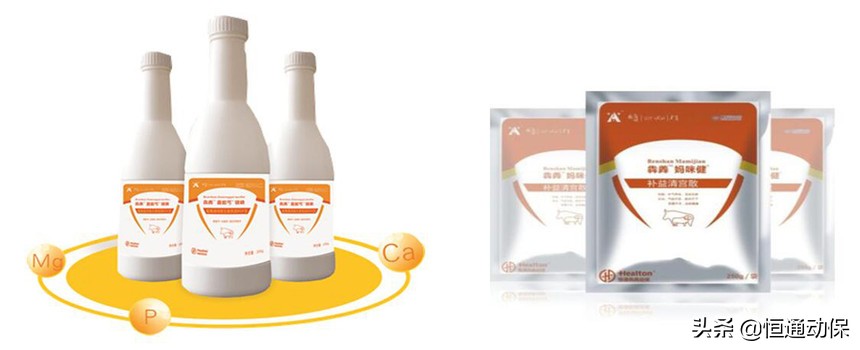 产后母羊与羔羊如何护理,牛羊产后吃什么料