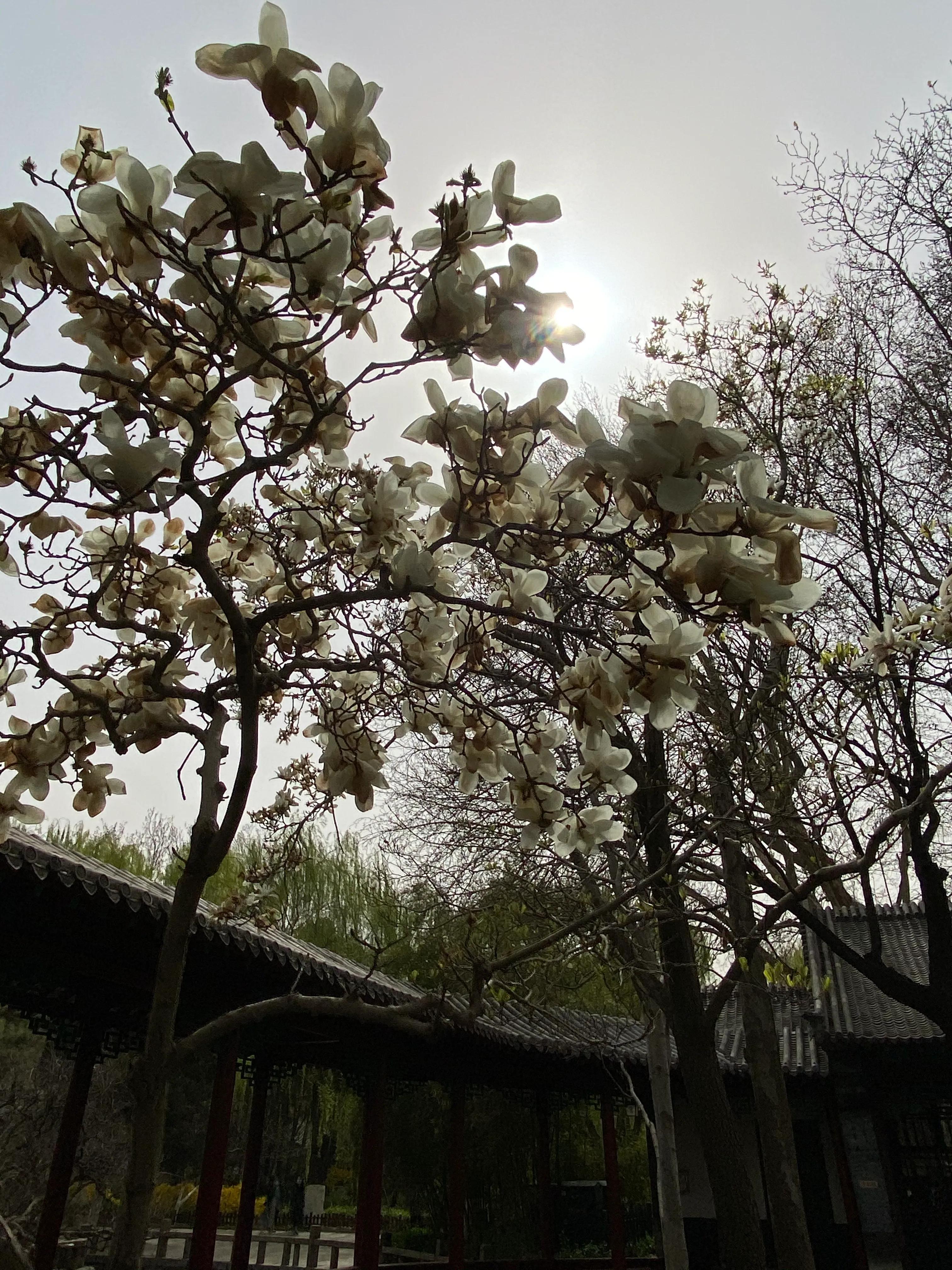 70后看待80后,70后女人发朋友圈心态