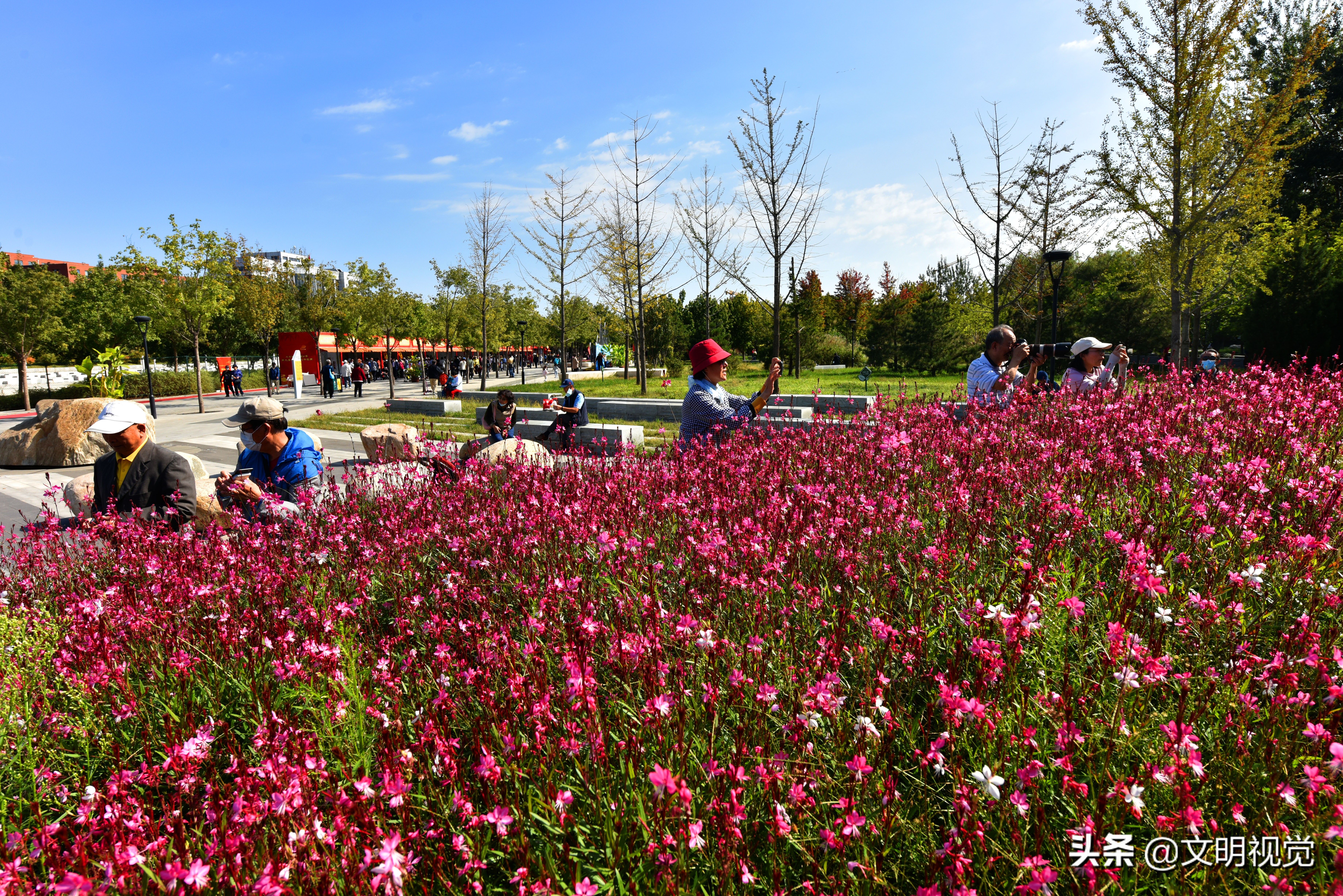 市民国庆节在“国雕”体验非遗文化的魅力