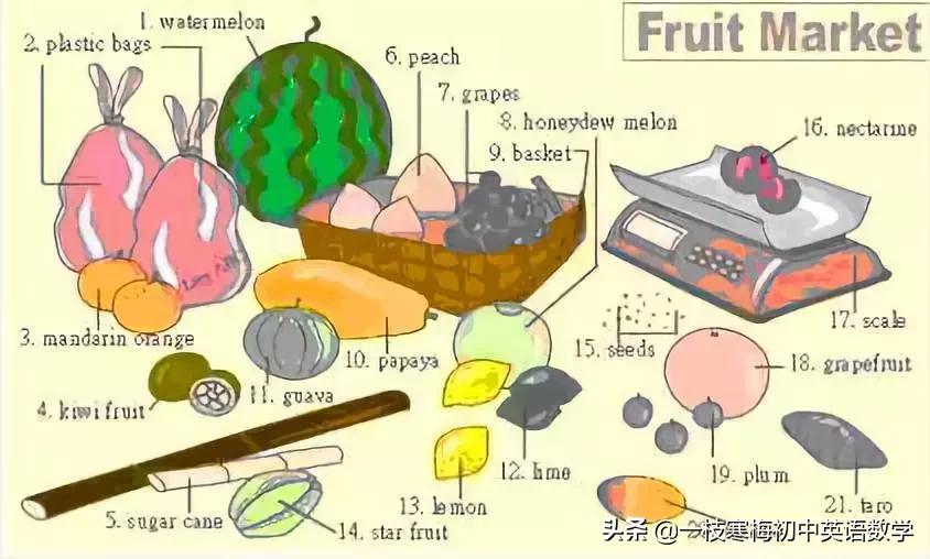 34张图教你记住英语中所有生活用词！