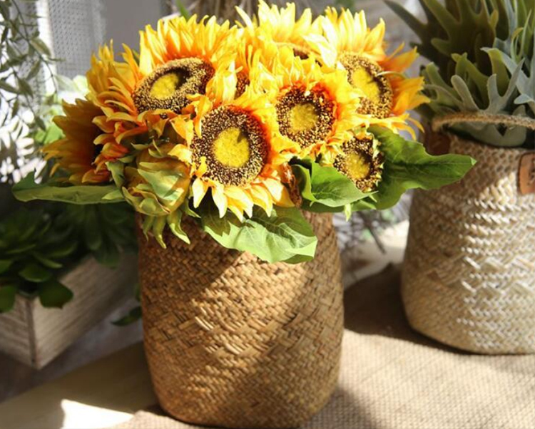 现在生活太方便了,还养什么花啊,假花都能直接上墙了!来个花藤