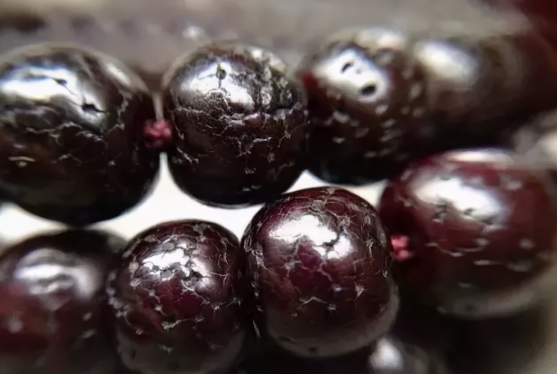 星月菩提中最高形态,星月菩提各个时期的变化