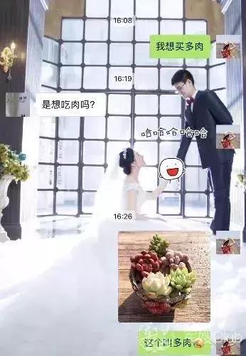 求救：谁能拯救一下我家的直男兵哥？