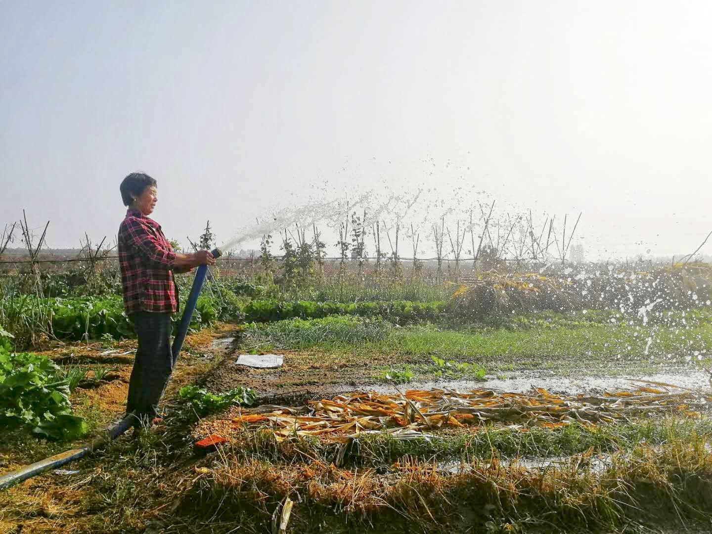 乡村振兴看沂蒙,打造乡村振兴齐鲁样板威海篇