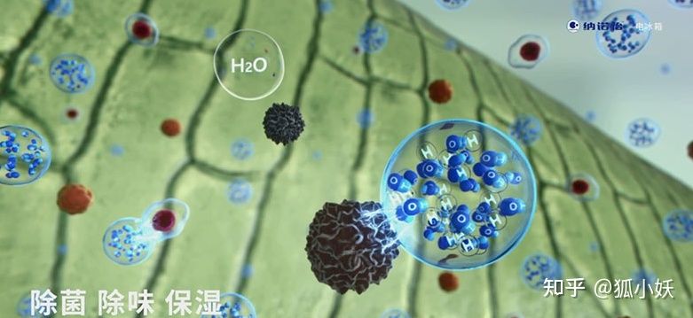 卡萨帝和西门子冰箱型号推荐,冰箱推荐2023西门子高端