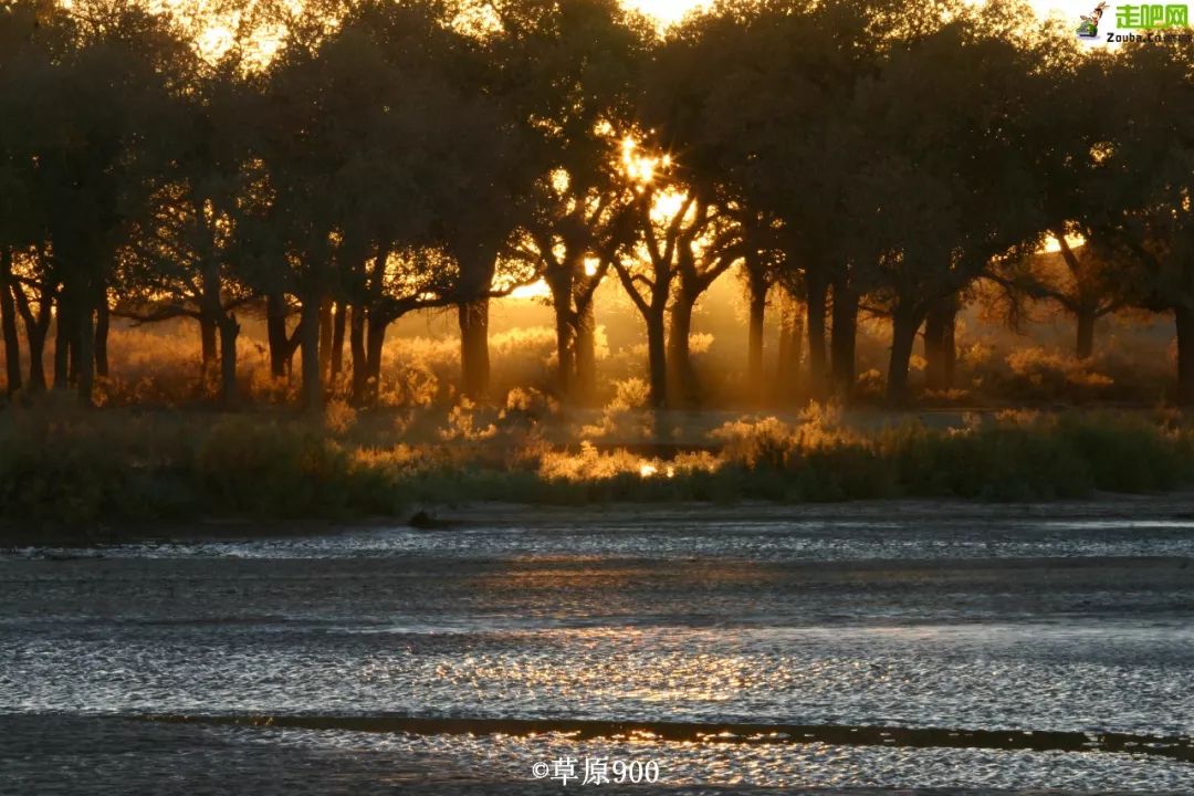 额济纳胡杨林自驾游详细攻略,宝鸡自驾往额济纳胡杨林攻略