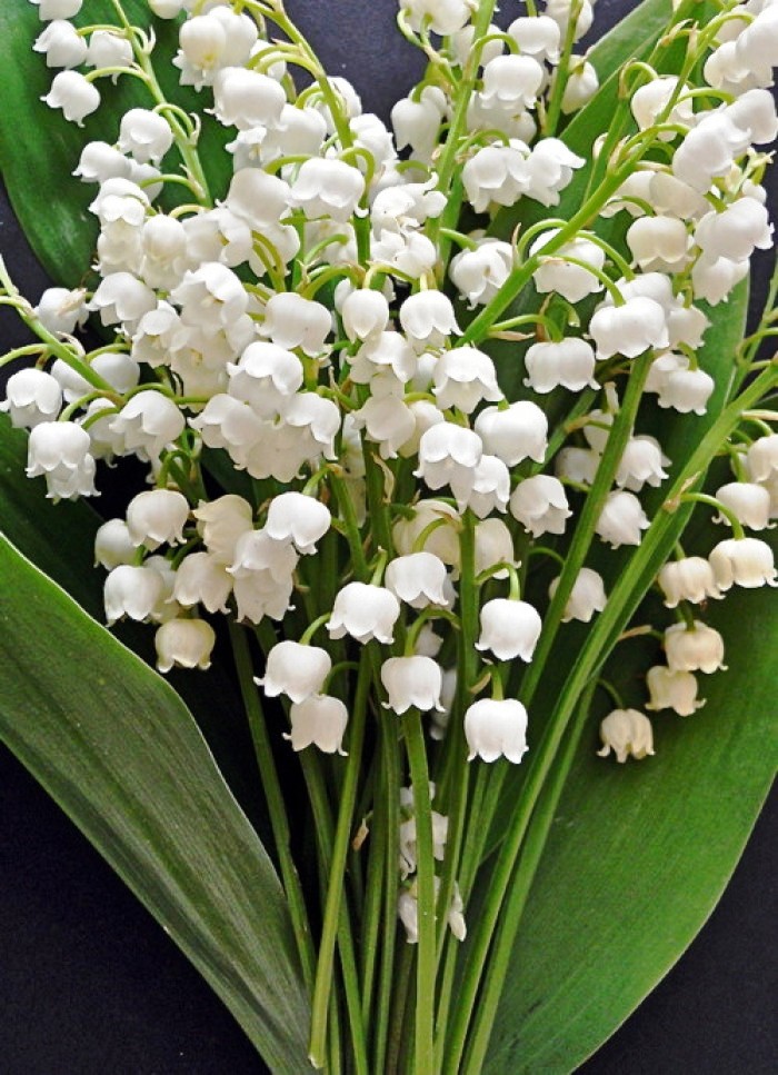 金句励志正能量人生语录大全,激励人心的句子正能量经典语录