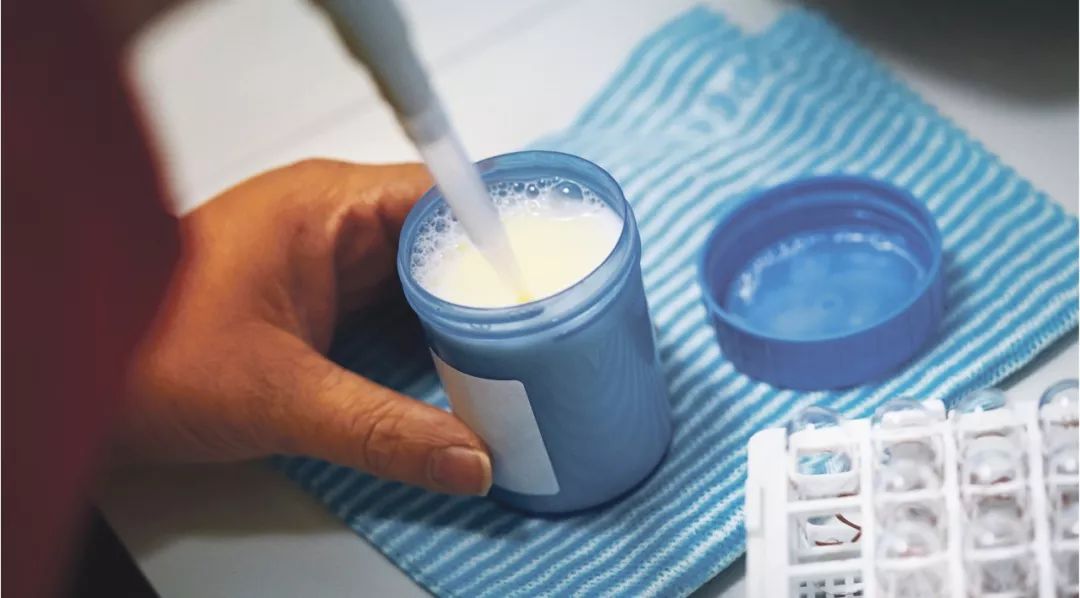 健身人群吃什么粉,新手健身选择什么蛋白粉最好