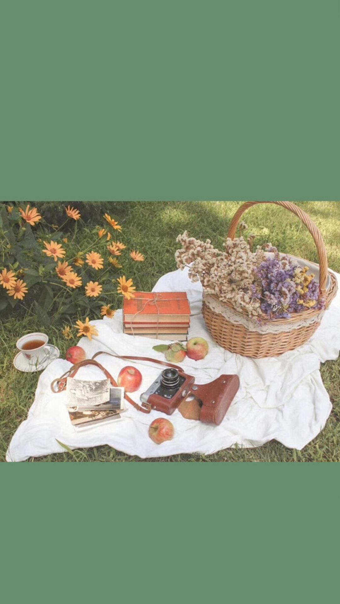 手机壁纸精选高清绿色护眼壁纸,绿色护眼壁纸高清全屏手机锁屏