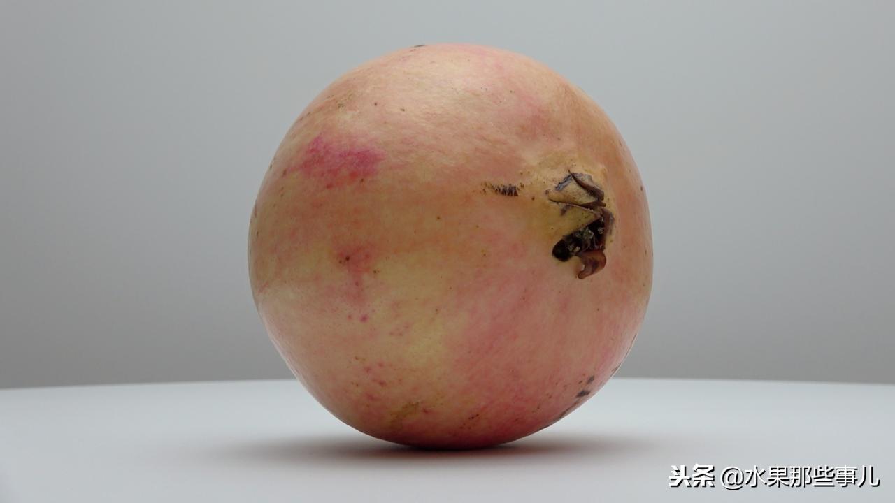 突尼斯软籽石榴与其他石榴的区别,甜石榴突尼斯软籽石榴的功效