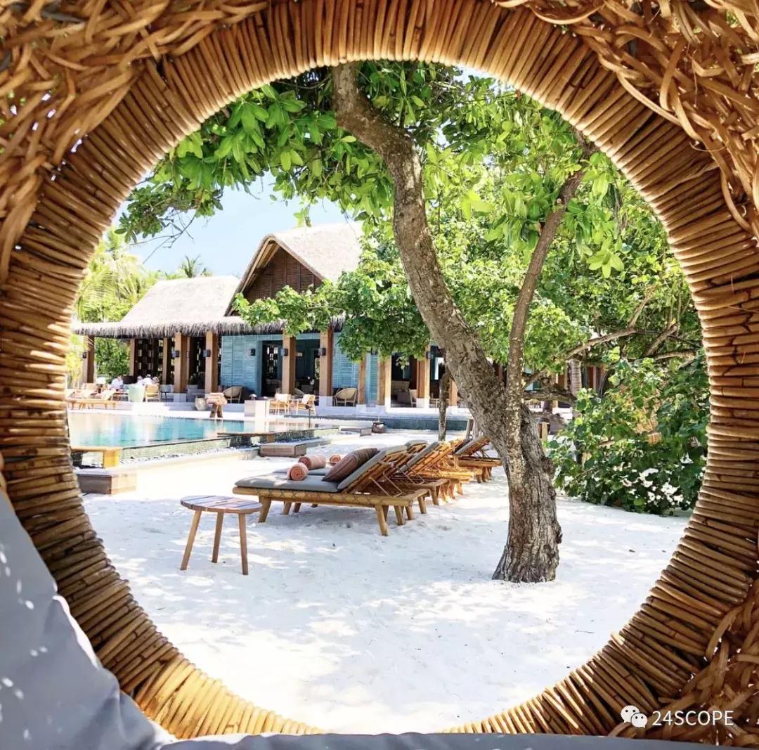 马尔代夫最美度假旅游岛酒店,马尔代夫娇丽酒店价格