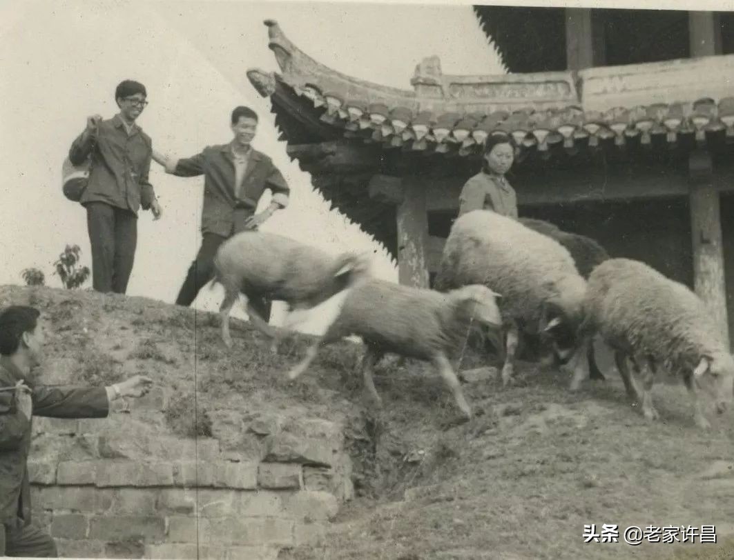 许昌县一高毕业,许昌市建安区一高毕业季