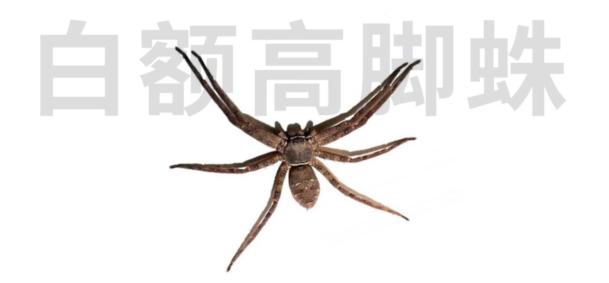 家中有蟑螂怎么一网打尽,家中发现一只蟑螂怎么办