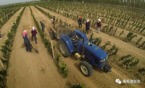 中国葡萄酒主产区之一,宁夏贺兰山东麓葡萄酒产区