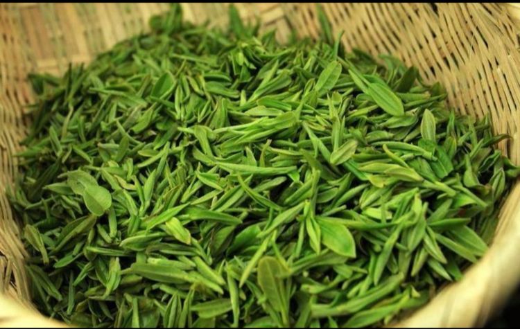 经常喝龙井茶对身体有什么好处,长期喝龙井茶对身体有什么益处呢