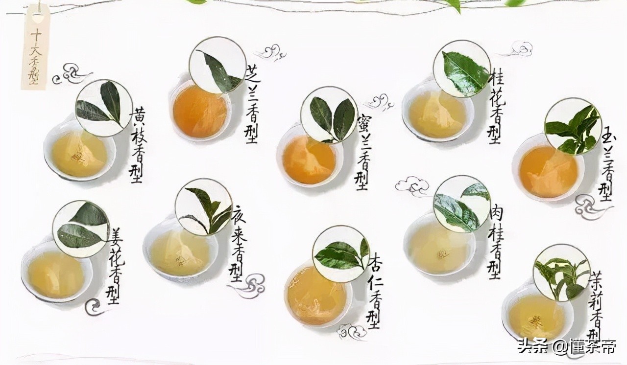 凤凰单丛十大香型是一颗树采摘吗,凤凰单枞十大香型有什么区别